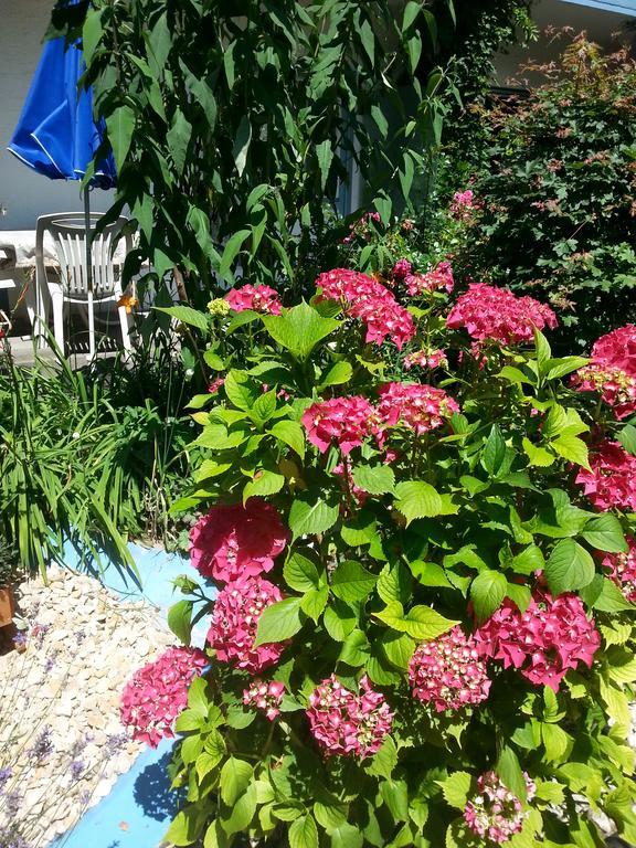 באד בלינגן Hotel Park Eden מראה חיצוני תמונה